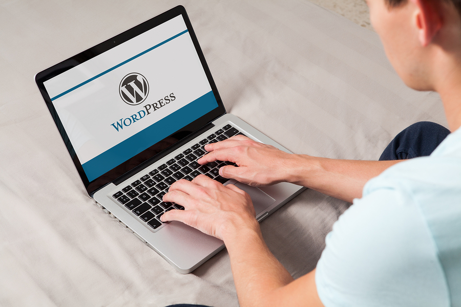 Exploring the Offerings of Leading WordPress Maintenance Agencies